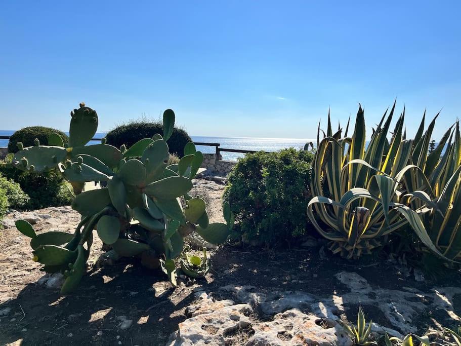 Villa Sebastian- Incomparabile Vista Sul Mare Plemmirio Exteriör bild